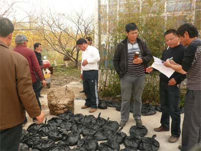 20101120104334799.jpg
